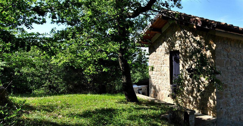 Terre Gialle - La Val D'Orcia Nascosta Кастел дел Пиано Екстериор снимка