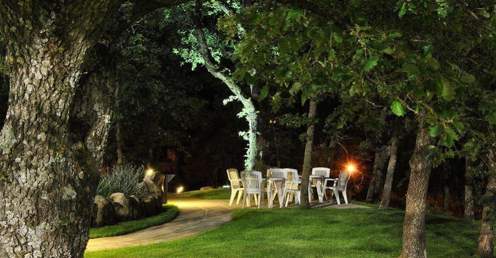 Terre Gialle - La Val D'Orcia Nascosta Кастел дел Пиано Екстериор снимка